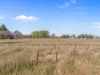 45 Church Lane, Kelso, NSW 2795-Image