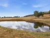 45 Gibbs Lane, Moyhu, Vic 3732-Image