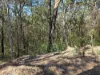 452 Bruxner Road, Drake NSW 2469-Image