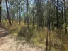 452 Bruxner Road, Drake NSW 2469-Image