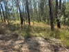 452 Bruxner Road, Drake NSW 2469-Image