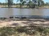 47, Montrose QLD 4413-Image