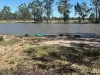 47, Montrose QLD 4413-Image