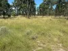 47, Montrose QLD 4413-Image