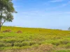 473 Princes Highway, Orbost, Vic 3888-Image