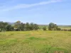 473 Princes Highway, Orbost, Vic 3888-Image