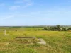 473 Princes Highway, Orbost, Vic 3888-Image