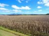4749 Gillies Range Road, East Barron QLD 4883-Image