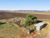 478 Willowvale Road, Willowvale, Qld 4370-Image
