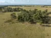 488A Bengworden Road, Bairnsdale, Vic 3875-Image