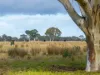 488A Bengworden Road, Bairnsdale, Vic 3875-Image