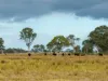 488A Bengworden Road, Bairnsdale, Vic 3875-Image