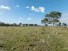 488A Bengworden Road, Bairnsdale, Vic 3875-Image