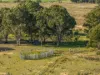 488A Bengworden Road, Bairnsdale, Vic 3875-Image