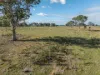 488A Bengworden Road, Bairnsdale, Vic 3875-Image