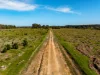 507 Burnside Road (Burnside), Margaret River, WA 6285-Image