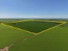 534 Willamulka Rd, Willamulka, SA 5554-Image