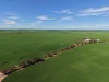 534 Willamulka Rd, Willamulka, SA 5554-Image
