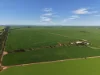 534 Willamulka Rd, Willamulka, SA 5554-Image