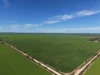 534 Willamulka Rd, Willamulka, SA 5554-Image