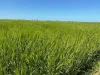 542 Adams Plain Road, Wallaroo Plain, SA 5556