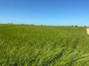 542 Adams Plain Road, Wallaroo Plain, SA 5556-Image