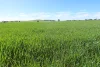 5456 Wilkins Highway, Jamestown, SA 5491