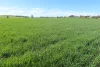 5456 Wilkins Highway, Jamestown, SA 5491-Image