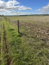 5456 Wilkins Highway, Jamestown, SA 5491-Image