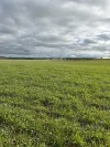 5456 Wilkins Highway, Jamestown, SA 5491-Image