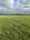 5456 Wilkins Highway, Jamestown, SA 5491-Image