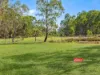 576 Wallarobba-Brookfield Road, Wallarobba via, Dungog, NSW 2420-Image