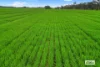 58 Gready Road, Wal Wal, Vic 3385-Image