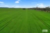 58 Gready Road, Wal Wal, Vic 3385-Image