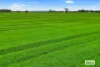 58 Gready Road, Wal Wal, Vic 3385-Image