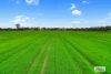 58 Gready Road, Wal Wal, Vic 3385-Image