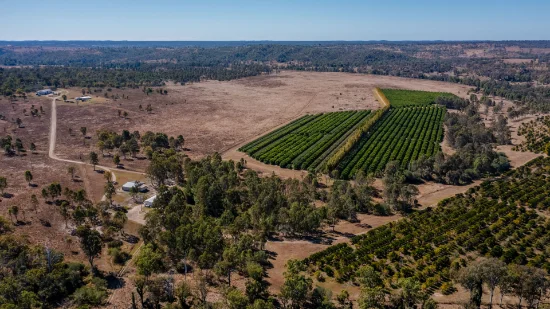 592 Nielsons Road, Good Night QLD 4671-Image
