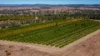 592 Nielsons Road, Good Night QLD 4671-Image