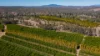 592 Nielsons Road, Good Night QLD 4671-Image