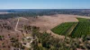 592 Nielsons Road, Good Night QLD 4671-Image