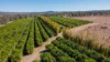 592 Nielsons Road, Good Night QLD 4671-Image