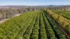 592 Nielsons Road, Good Night QLD 4671-Image