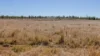 592 Nielsons Road, Good Night QLD 4671-Image