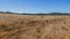 592 Nielsons Road, Good Night QLD 4671-Image