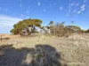 60 Hughes Road, Merredin, WA 6415-Image