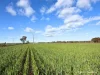 601, Lot 601 Goldfields Road, Merredin, WA 6415-Image