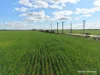 601, Lot 601 Goldfields Road, Merredin, WA 6415-Image