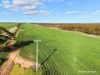 601, Lot 601 Goldfields Road, Merredin, WA 6415-Image