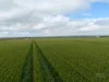 610 Marion Bay Road, Corny Point, SA 5575