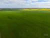 610 Marion Bay Road, Corny Point, SA 5575-Image